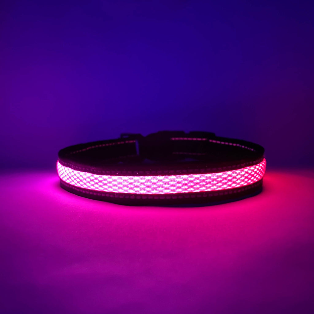 LED Dog Collar: Green – alternate view 6