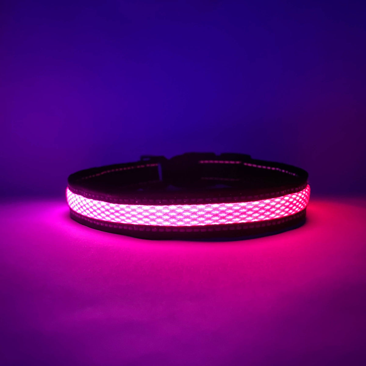 LED Dog Collar: Blue – alternate view 5