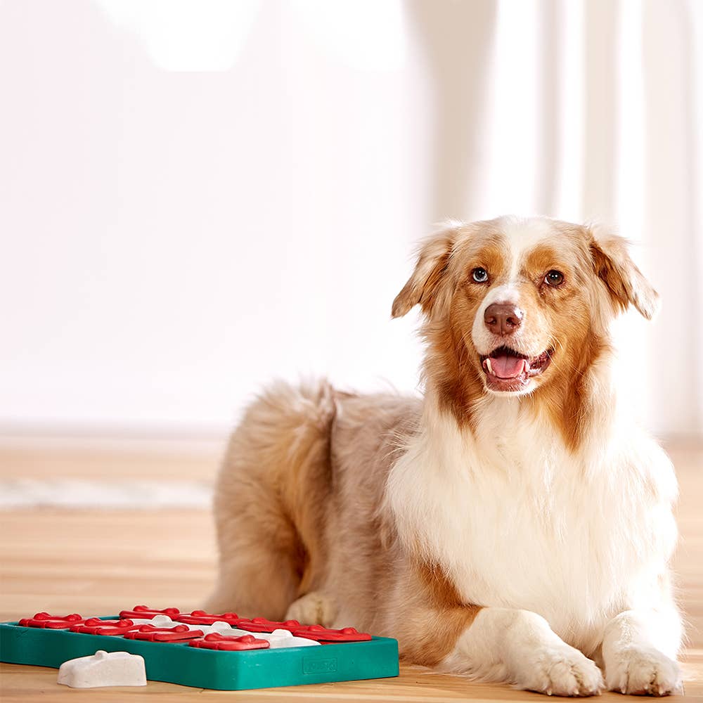 Nina Ottosson Dog Brick Interactive Treat Puzzle – Blue – alternate view 3