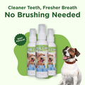 Adore Pet oral care gel for dogs salmon flavor – photo 1 of 7