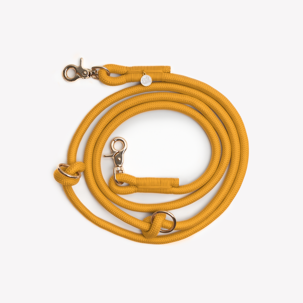 Yellow Hands Free Braided Leash, alternate view