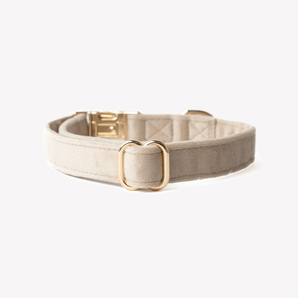 Sand Velvet Dog Collar, alternate view