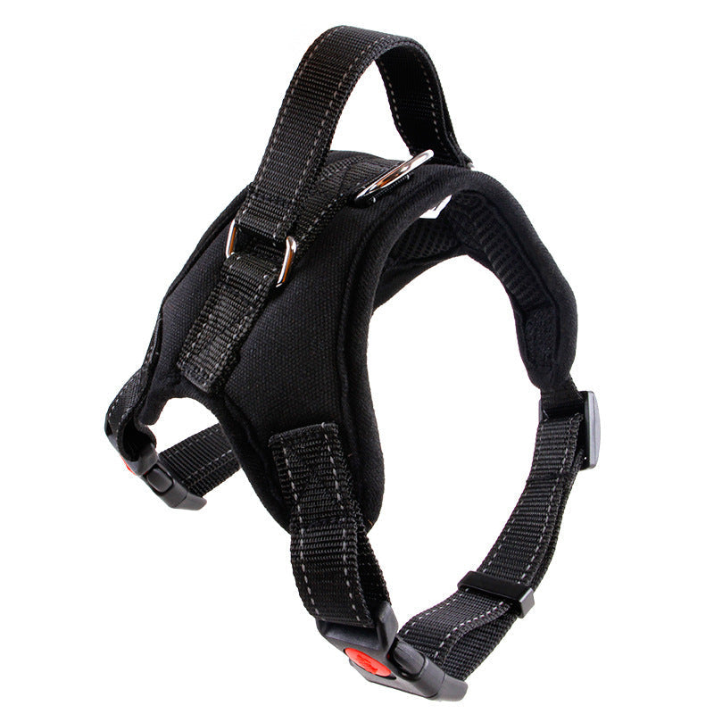 Dog Collar – Medium & Large Dogs – alternate view 8