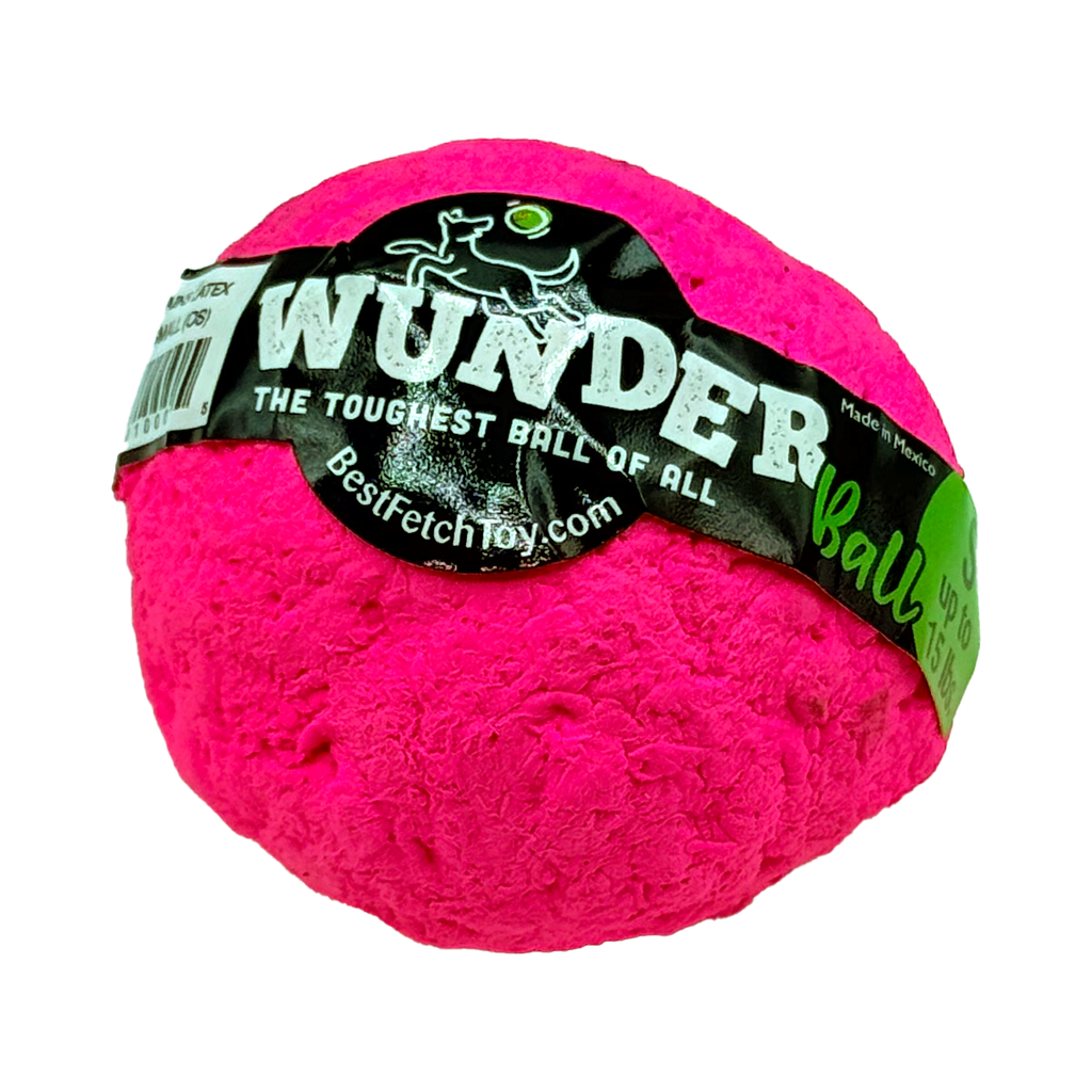 WUNDERball Dog Fetch Toy – alternate view 19