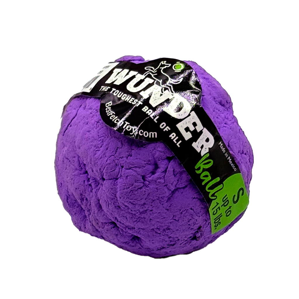 WUNDERball Dog Fetch Toy – alternate view 21