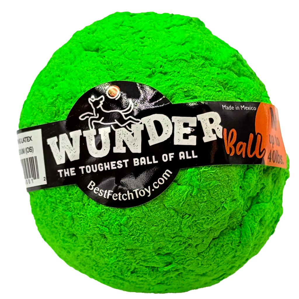 WUNDERball Dog Fetch Toy – alternate view 23
