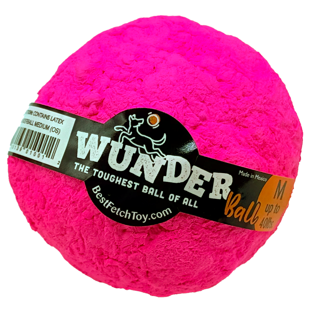 WUNDERball Dog Fetch Toy – alternate view 38