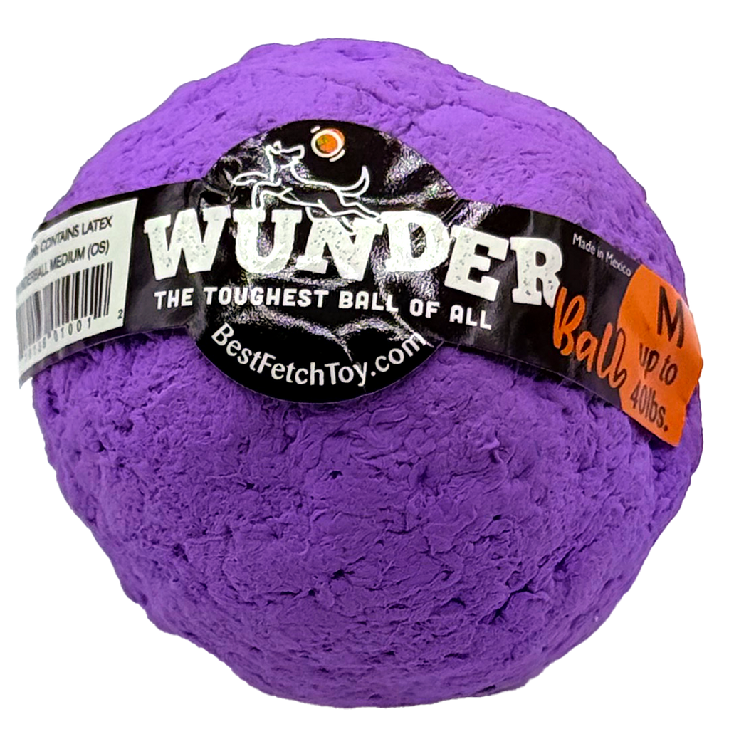 WUNDERball Dog Fetch Toy – alternate view 26