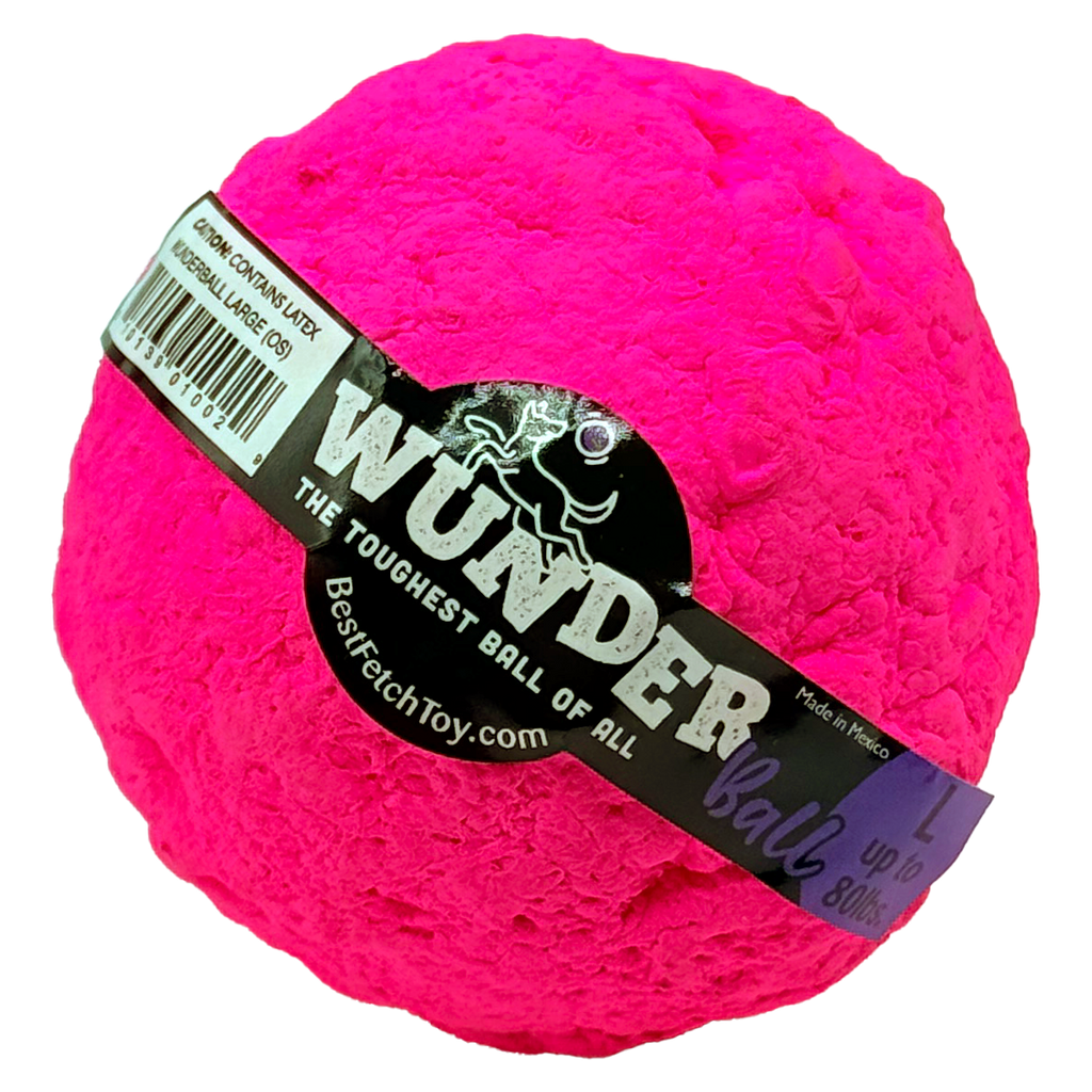 WUNDERball Dog Fetch Toy – alternate view 29