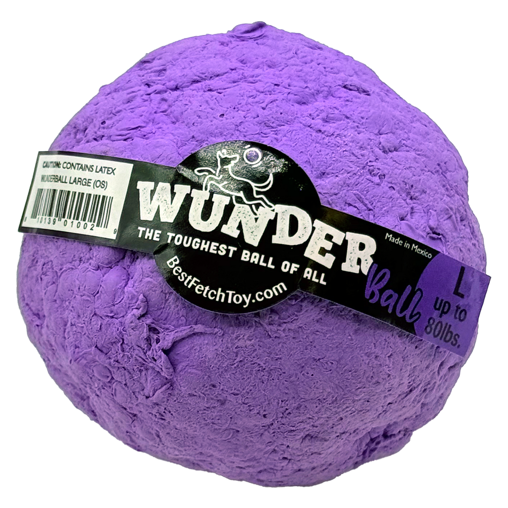 WUNDERball Dog Fetch Toy – alternate view 31