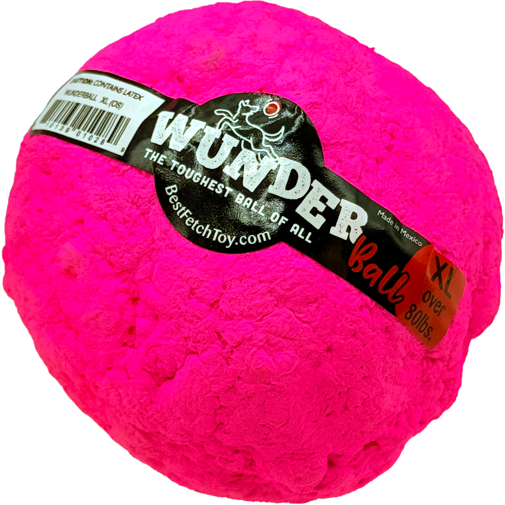 WUNDERball Dog Fetch Toy – alternate view 33