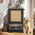 Pet Feeding Station with Storage Cabinet, 2 Elevated Bowls & Side Hooks – Black – front view