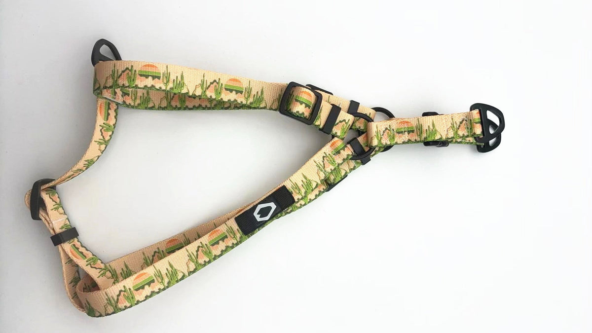 Outdoor Style Nylon Step-In Dog Harness – alternate view 3
