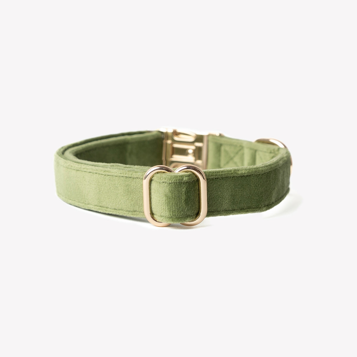 Green Velvet Dog Collar, alternate view