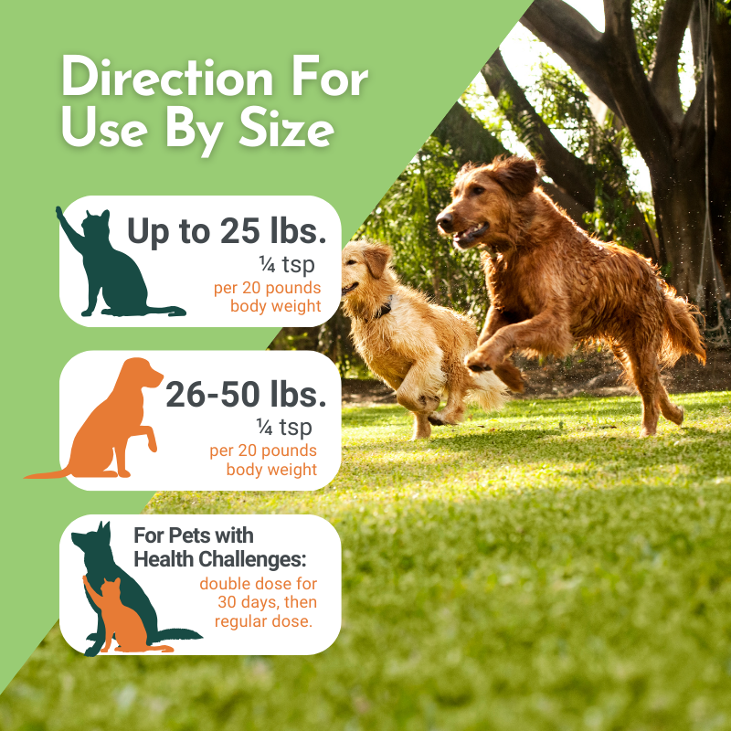 Holistic Total Body Support Multivitamin and Glandular Blend by Dr. Ruth Roberts – photo 15 of 18