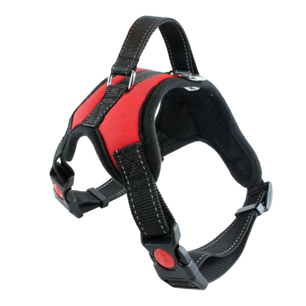 Nylon Dog Collar for Medium and Large Dogs – photo 4 of 13