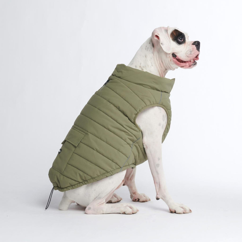 WarmShield Water-Resistant Dog Jacket – Olive – alternate view 8
