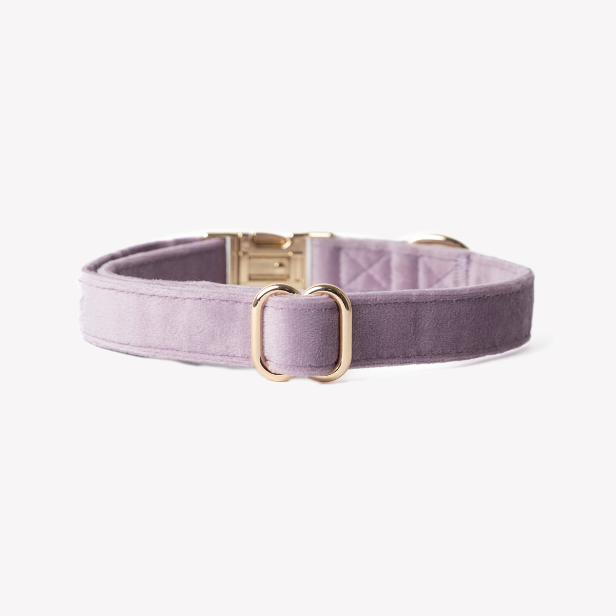 Lilac Velvet Dog Collar, alternate view