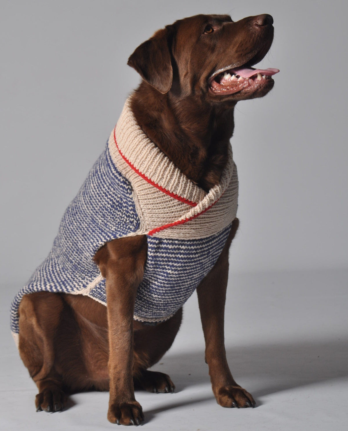 Spencer Dog Sweater Blue and Cream Shawl Collar – photo 4 of 9