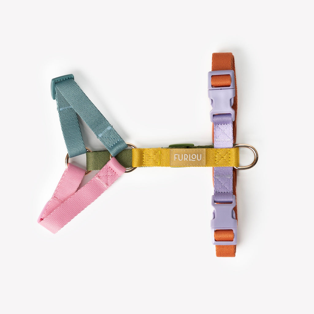 Rainbow Dog Harness, alternate view