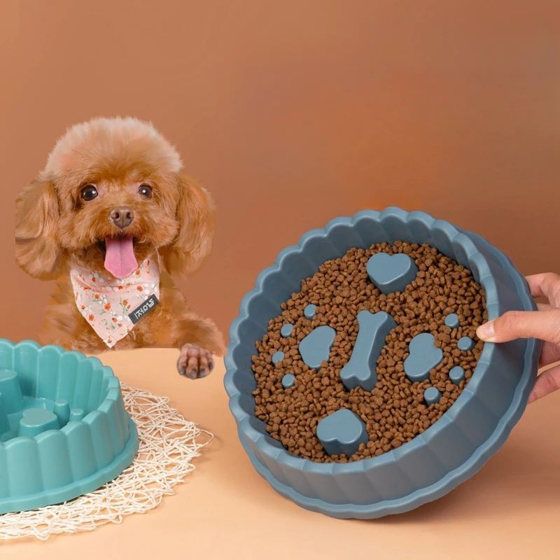 Slow Feeder Bowl for Dogs & Cats – Anti-Choking PP Dish, 27cm – alternate view 3
