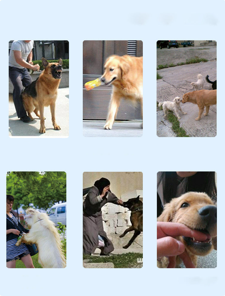 Rechargeable Dog Bark Control Training Device – Remote – alternate view 5