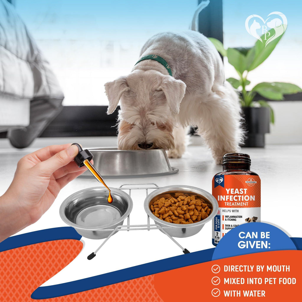 Yeast and anti-itch supplement drops for dogs – photo 4 of 6