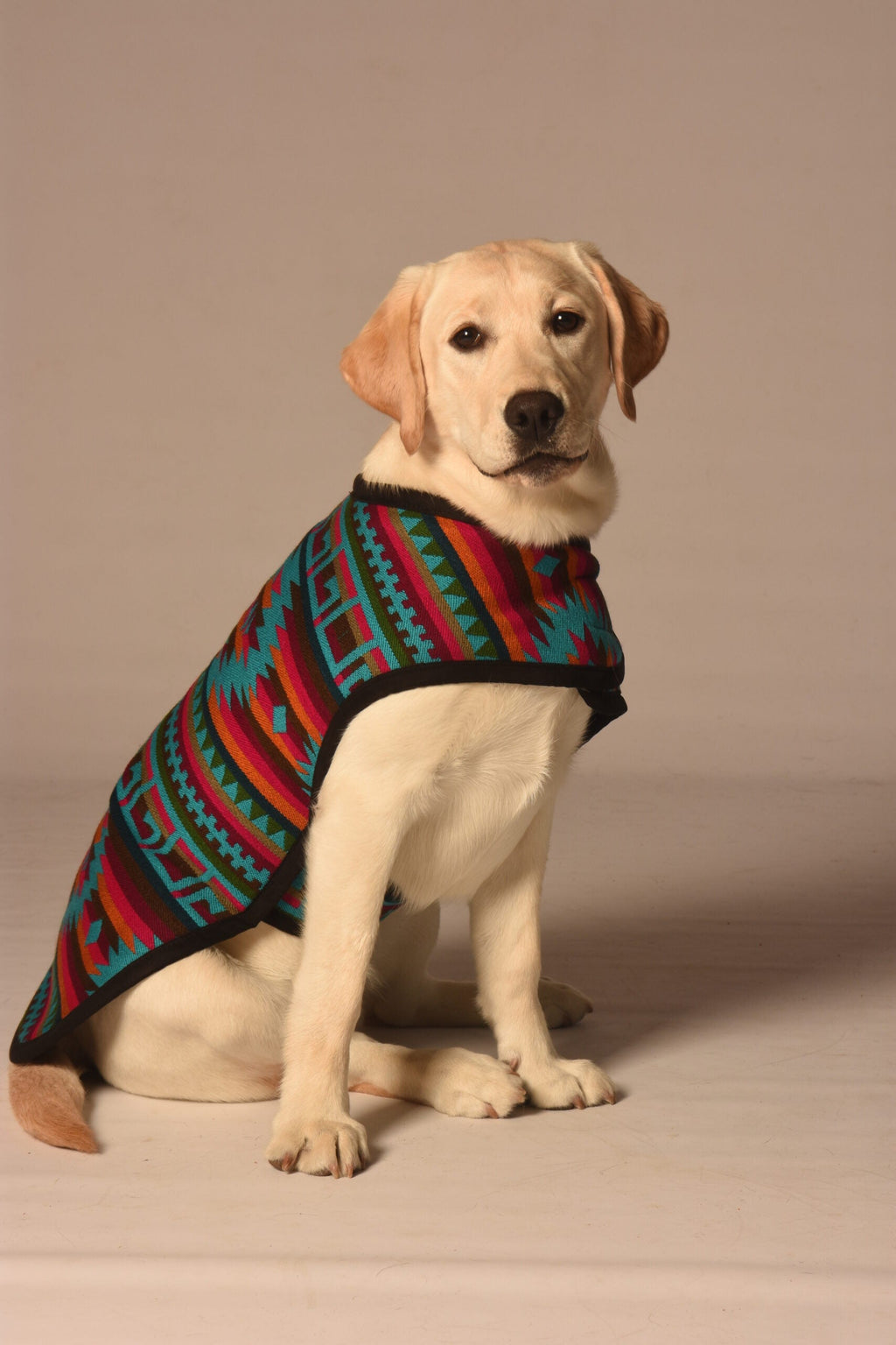 Desert Rose Blanket Dog Coat Southwestern Pattern – photo 4 of 6