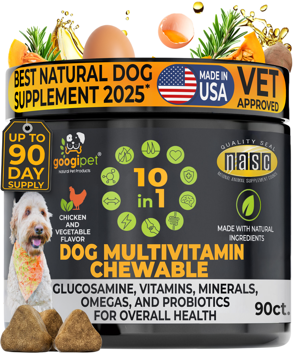 10 in 1 Multivitamin Chews for Dogs (Chicken Flavor) – front view