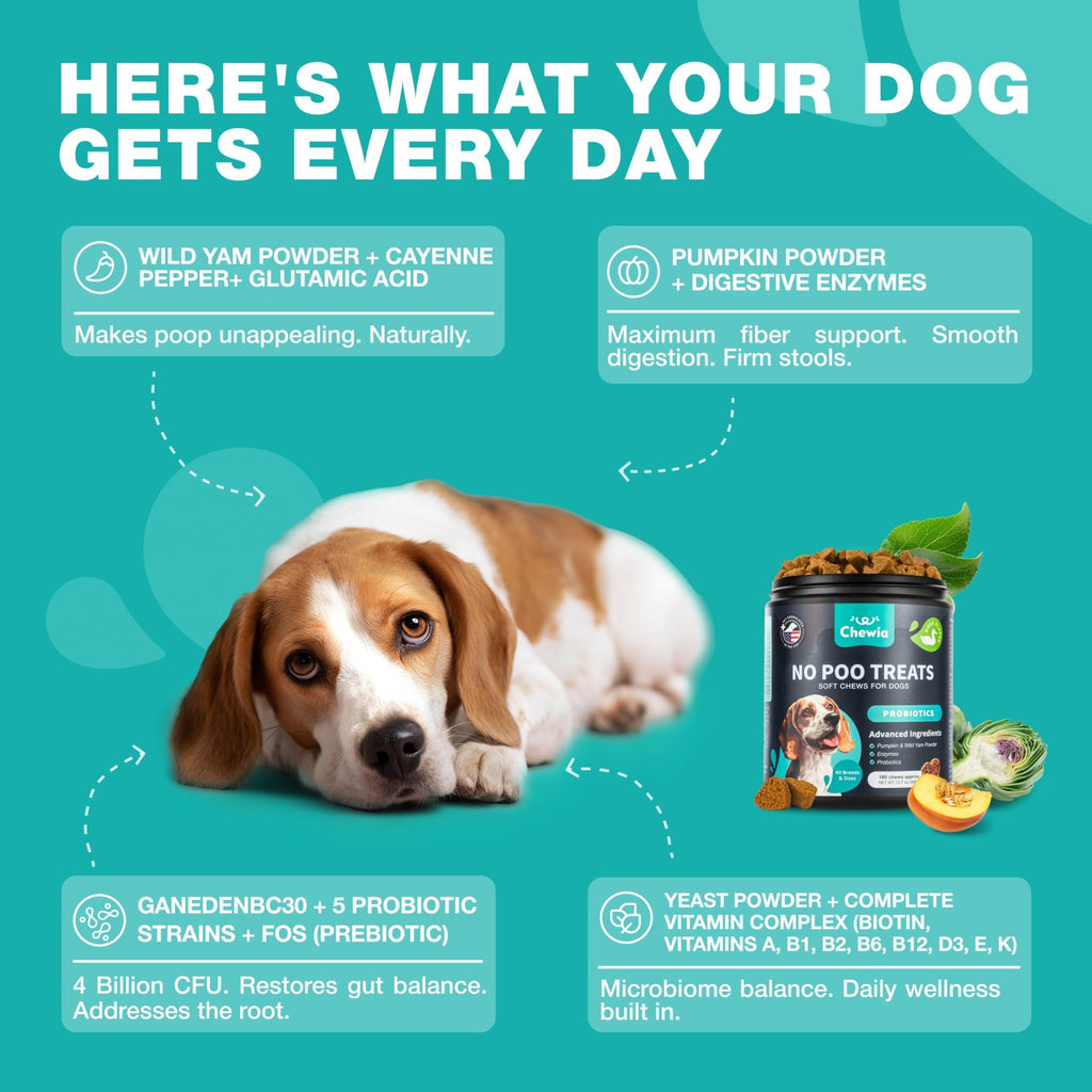 No Poo Chews for Dogs – Coprophagia Deterrent with Probiotics – alternate view 4