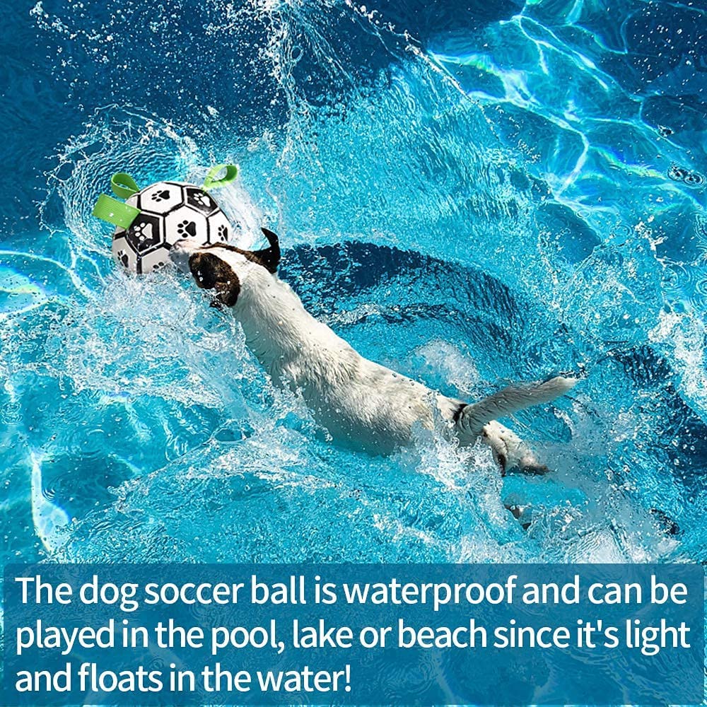Interactive Soccer Ball Dog Toy – Training, Large Dogs – alternate view 6