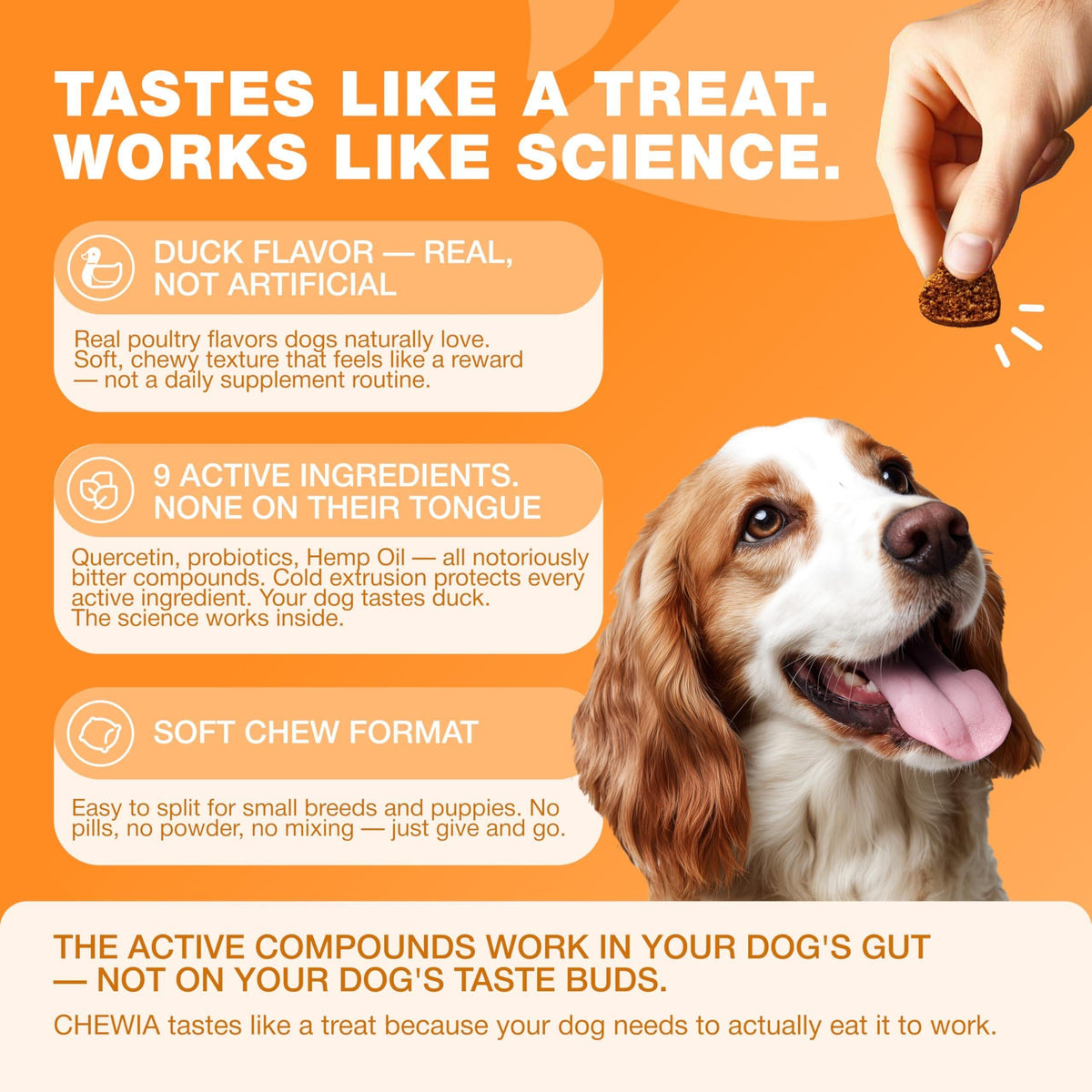 Dog allergy relief chews for itch relief, 180 count, feeding guide chart