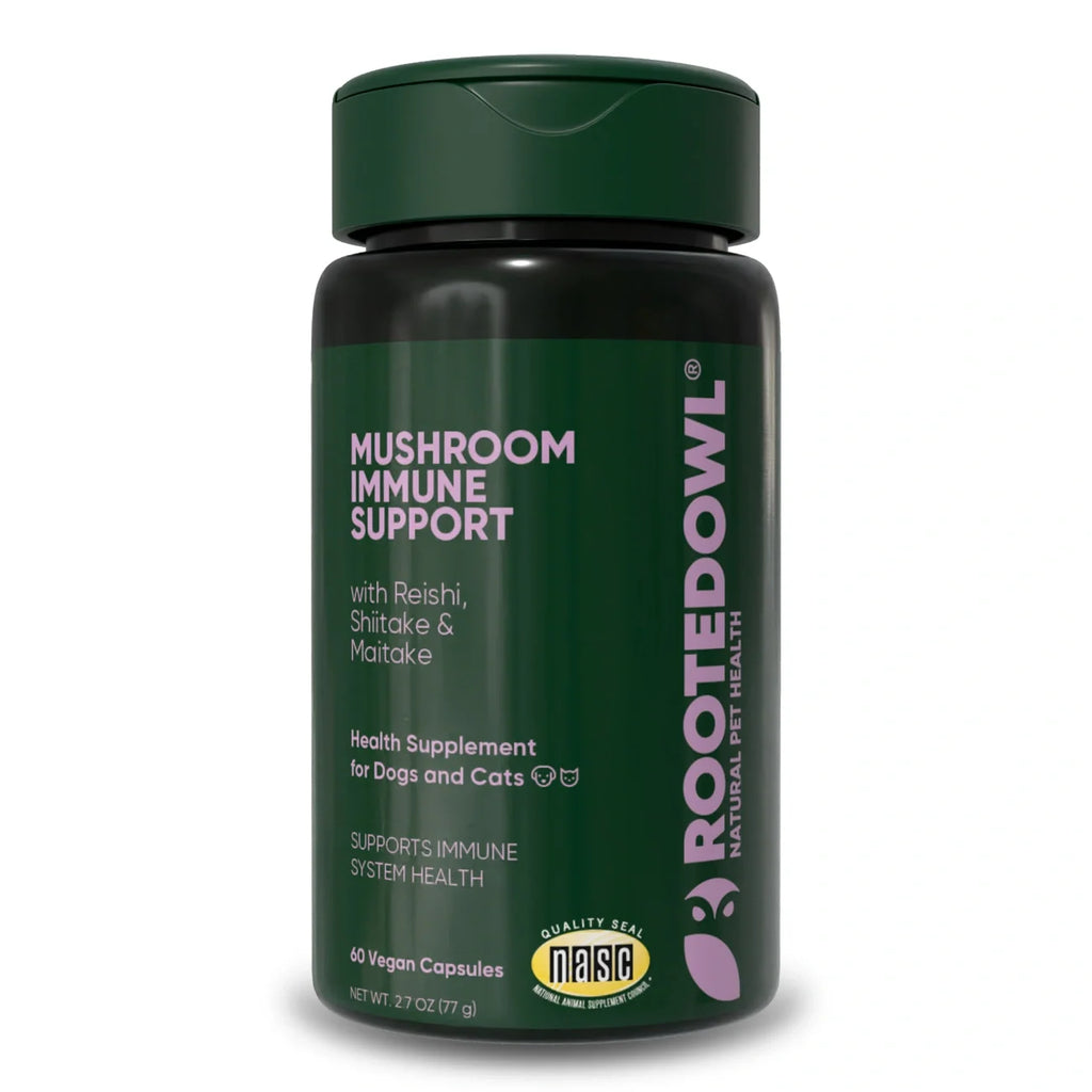 Rooted Owl Natural Immunity mushroom supplement for dogs and cats – photo 1 of 10