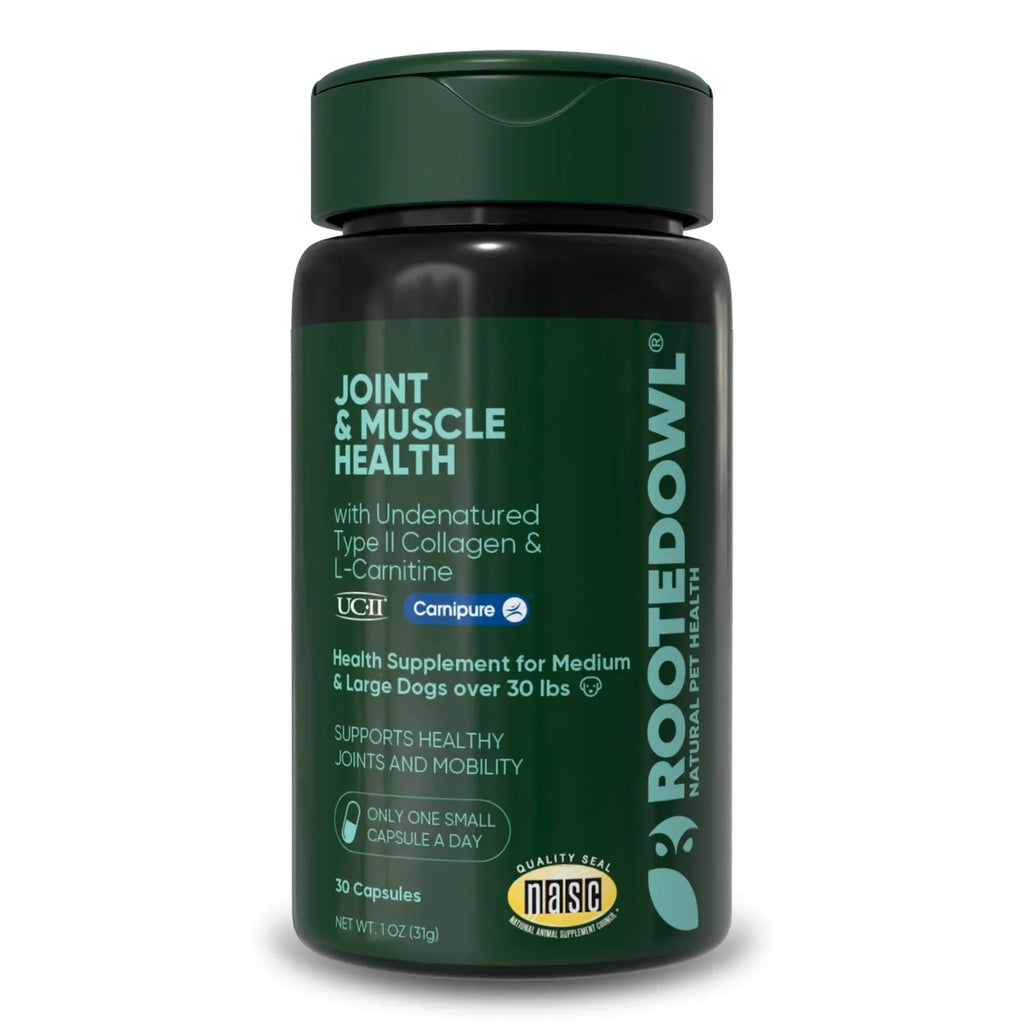 Rooted Owl Joint & Muscle Health capsules with UC-II collagen for medium and large dogs – photo 1 of 9