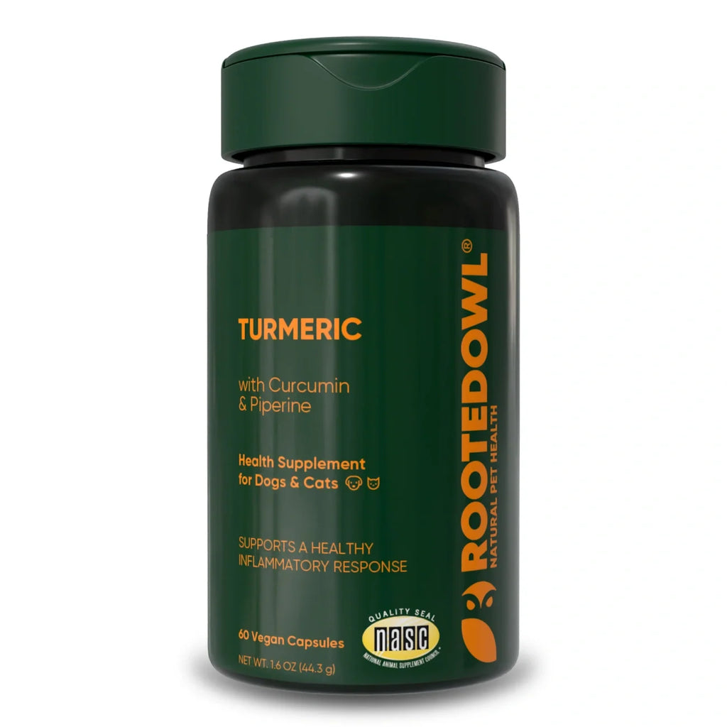 Rooted Owl Turmeric supplement with curcumin and black pepper – photo 1 of 9