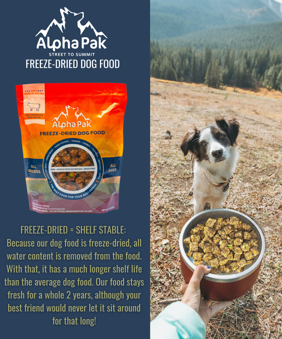 Freeze-Dried Raw Beef Dog Food – Single Ingredient – alternate view 8