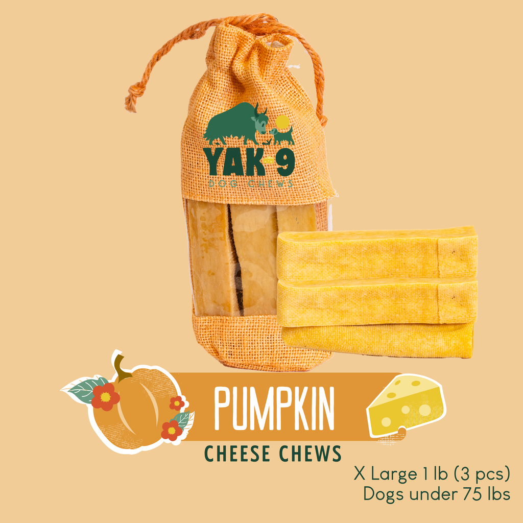 Pumpkin Yak Chews for Dogs – alternate view 16