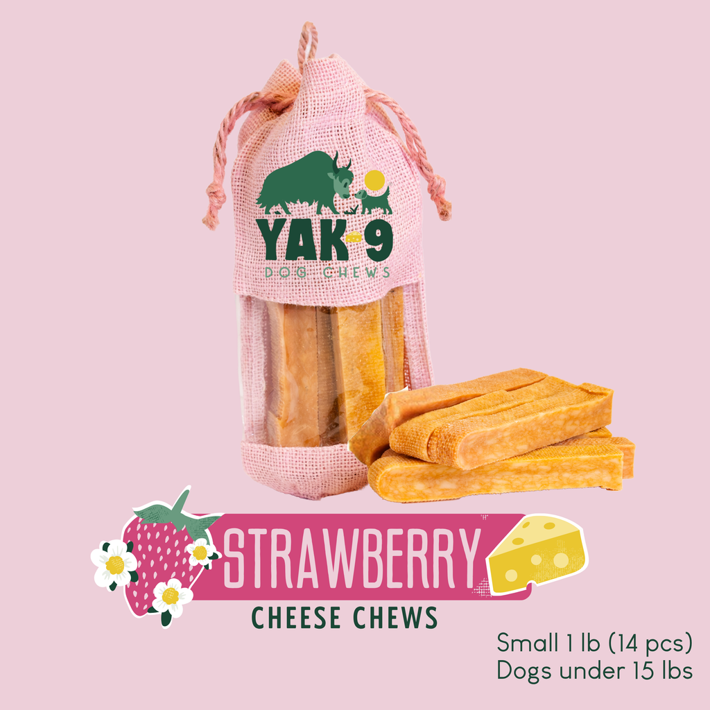 Strawberry Cheese Chews for Dogs – alternate view 15