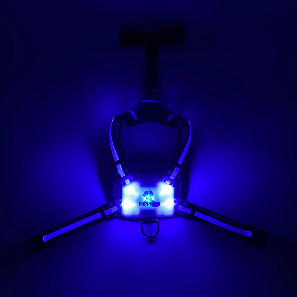 LED Dog Harness – alternate view 14