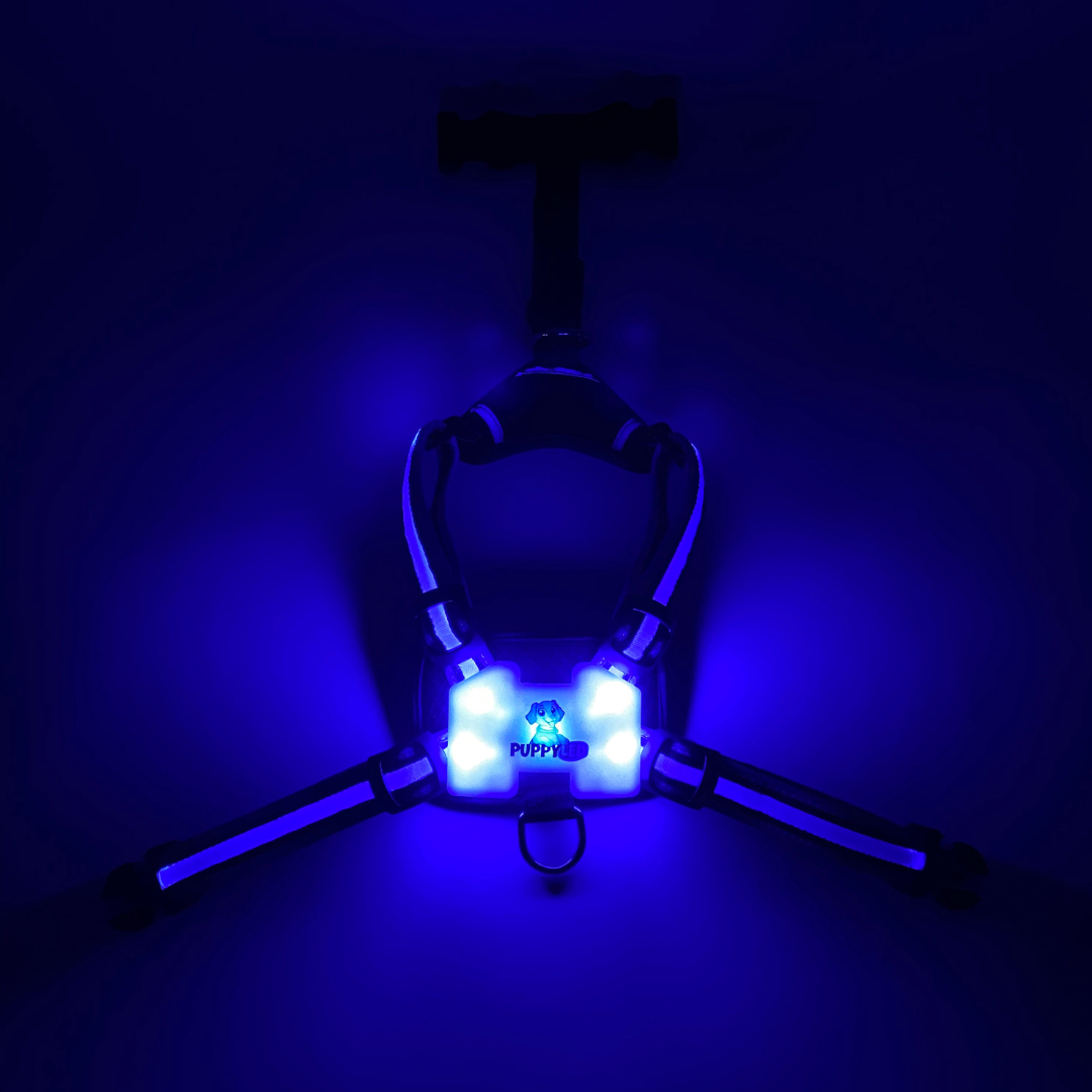 LED Dog Harness – alternate view 14
