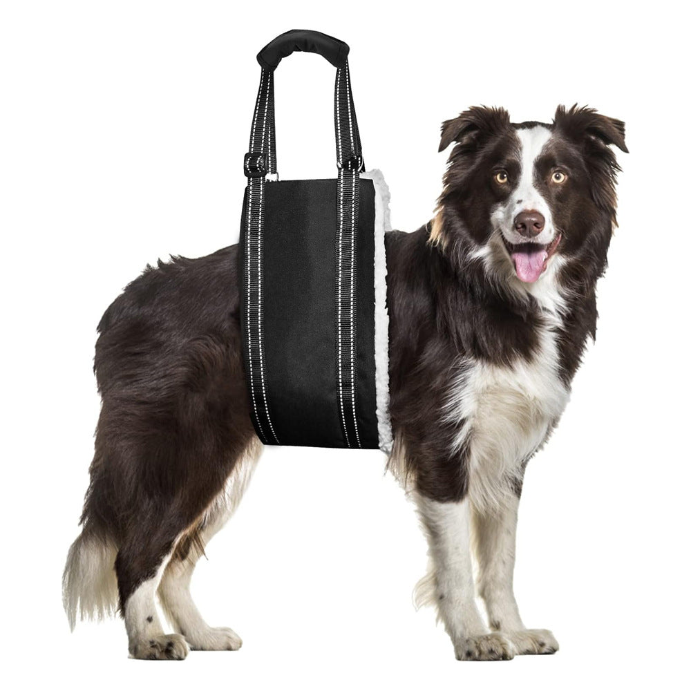 Adjustable Dog Rehabilitation Support Belt – Elderly & Disabled Pets – alternate view 6