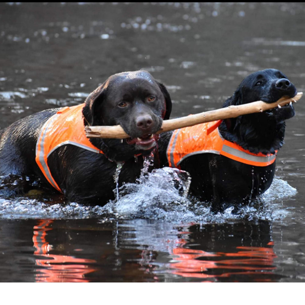 SafetyPUP XD Lite Lightweight Dog Vest S Blaze Orange – photo 8 of 9
