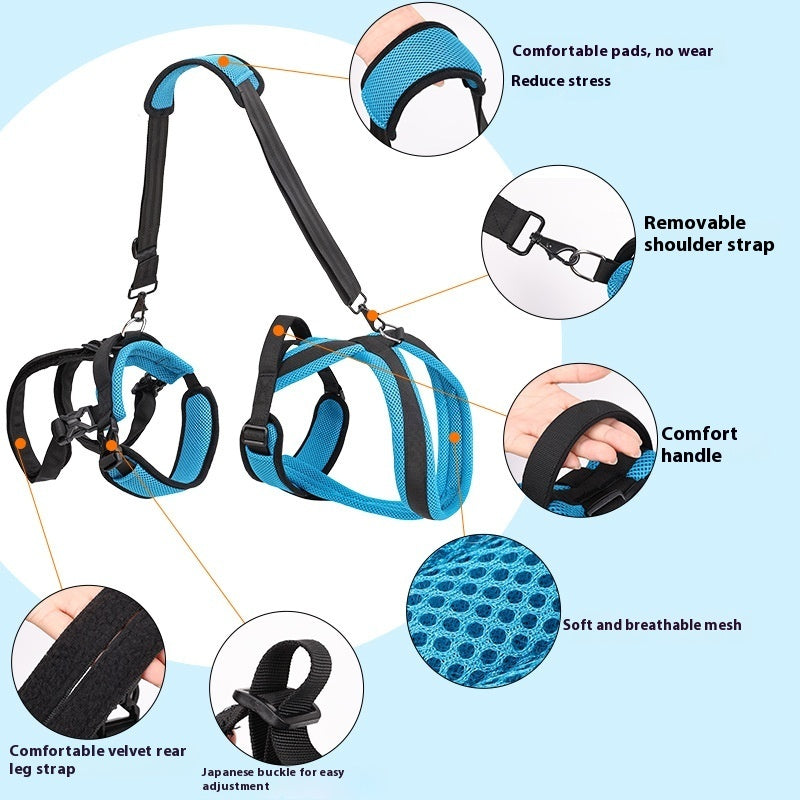 Dog Auxiliary Strap Polyester Hand-Holding Rope Blue – photo 3 of 6