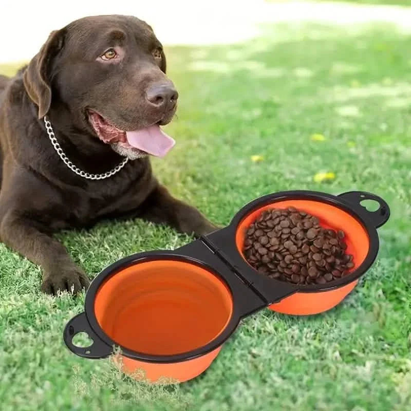 2-in-1 Collapsible Double Dog Bowl Silicone Travel – photo 1 of 9