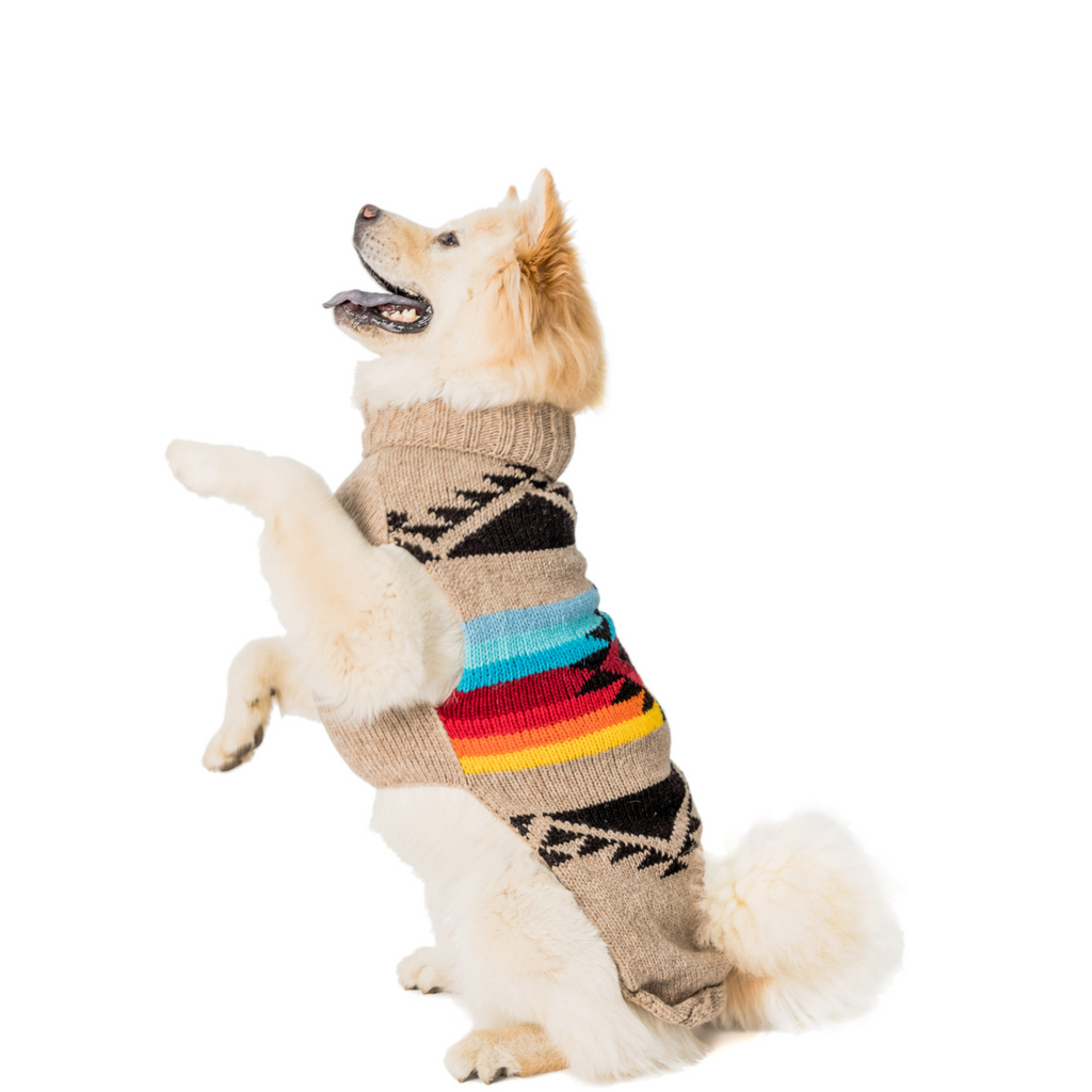 Painted Desert Dog Sweater Arizona Canyon Colors – photo 6 of 7
