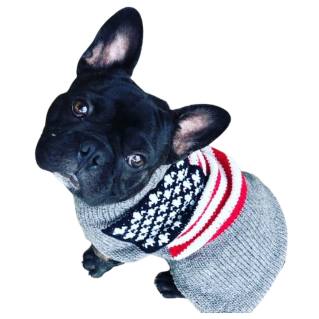 American Flag Wool Dog Sweater Red White and Blue – photo 4 of 6