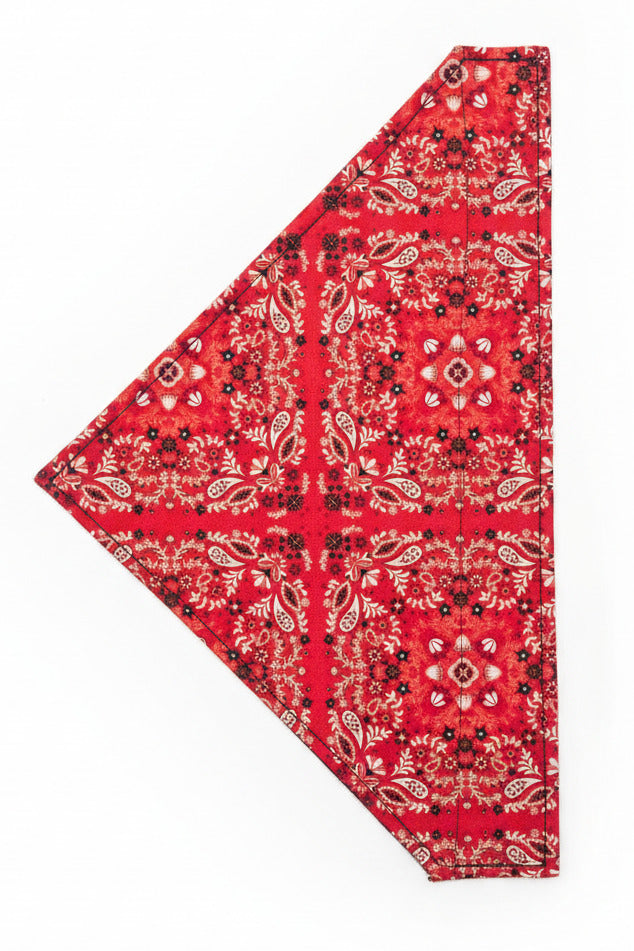 Every Day Dog Bandanas – alternate view 13