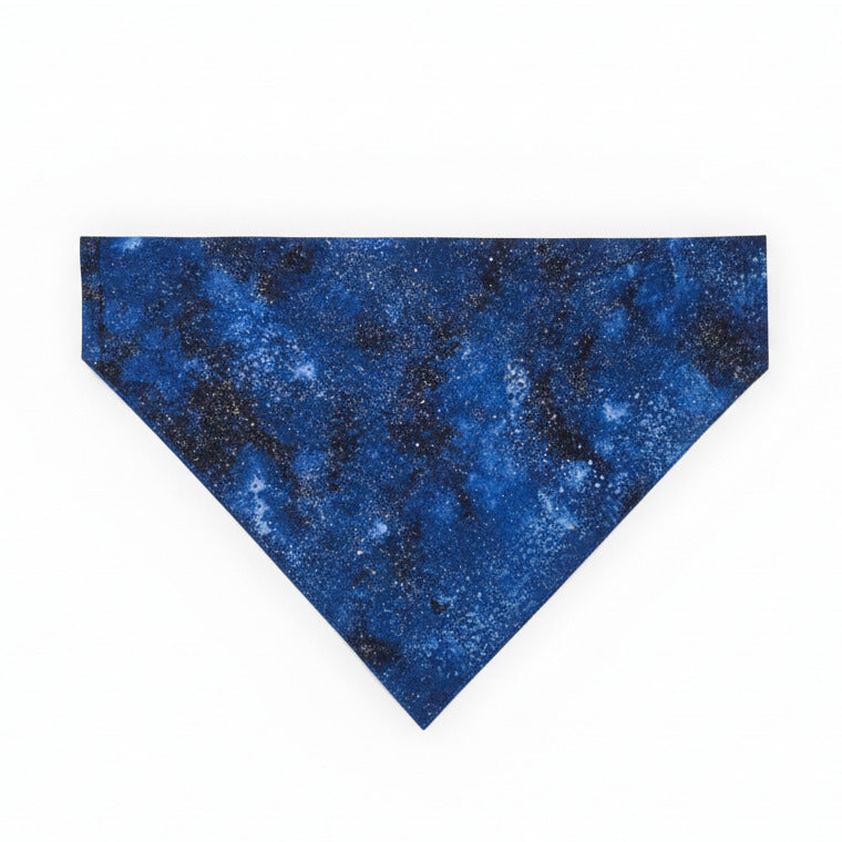 Every Day Dog Bandanas – alternate view 12