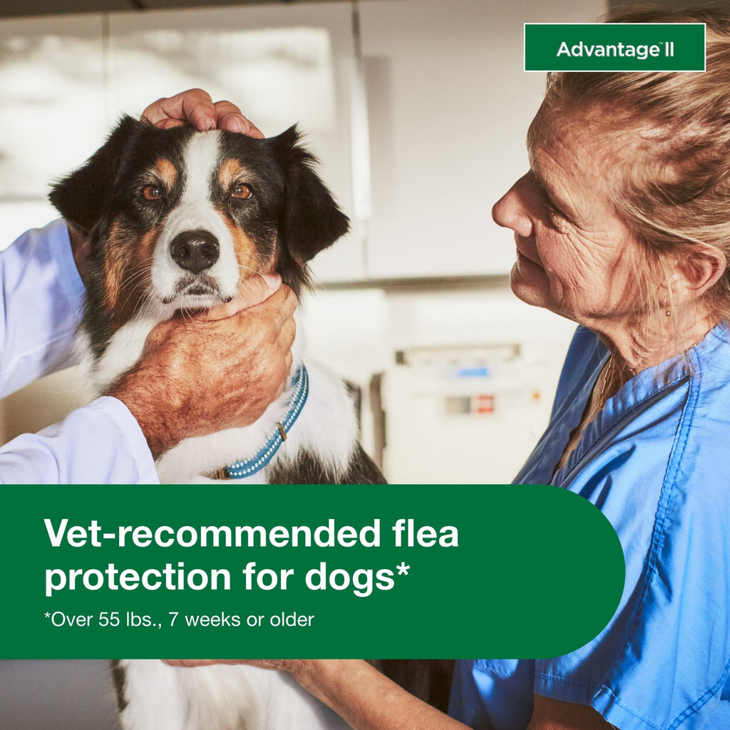 Vet-Recommended Flea Prevention for XL Dogs 55 Lbs 6-Monthly Treatment, alternate view