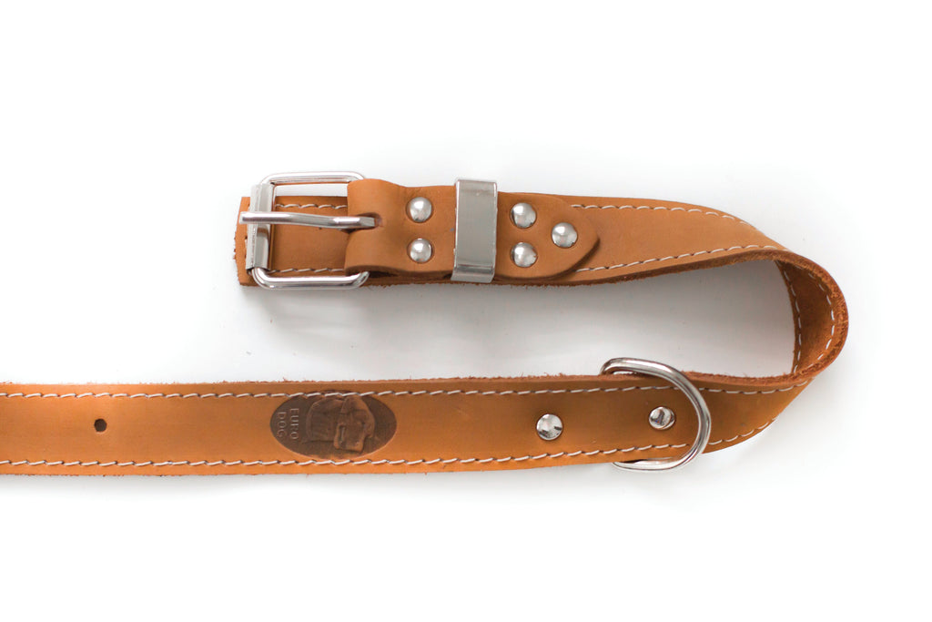 Pro Line Leather Hunting Dog Collar – alternate view 10